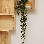 Flores Bed & Breakfast 4*