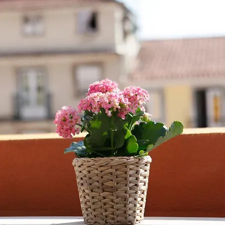Bed & Breakfast Flores