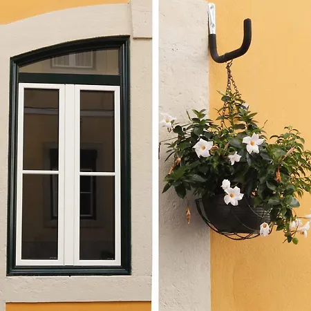 Flores Bed & Breakfast 4*