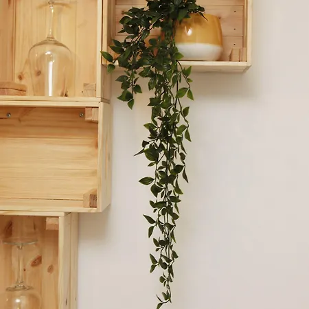 Flores Bed and breakfast 3*